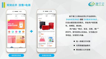 金拓掛售商城模式, 天王商城掛售模式,掛售模式app定制開發,微三云麥超